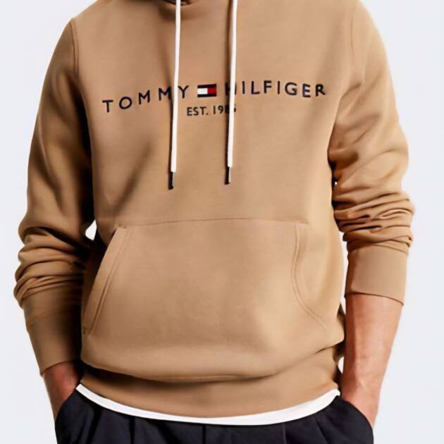 Hoody Tommy Hilfiger Homem