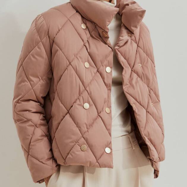 Kispo Senhora Lion Of Porches